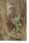 Funeral Service Cover