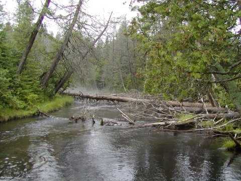 The first leg of the shore-to-shore trail