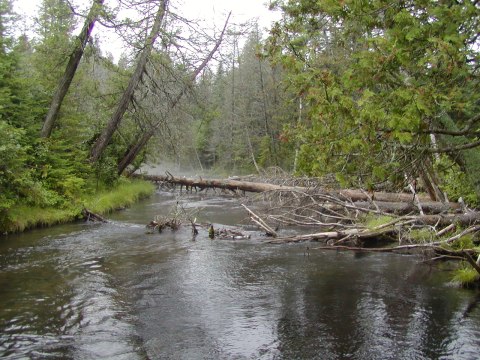 The first leg of the shore-to-shore trail — photograph 2
