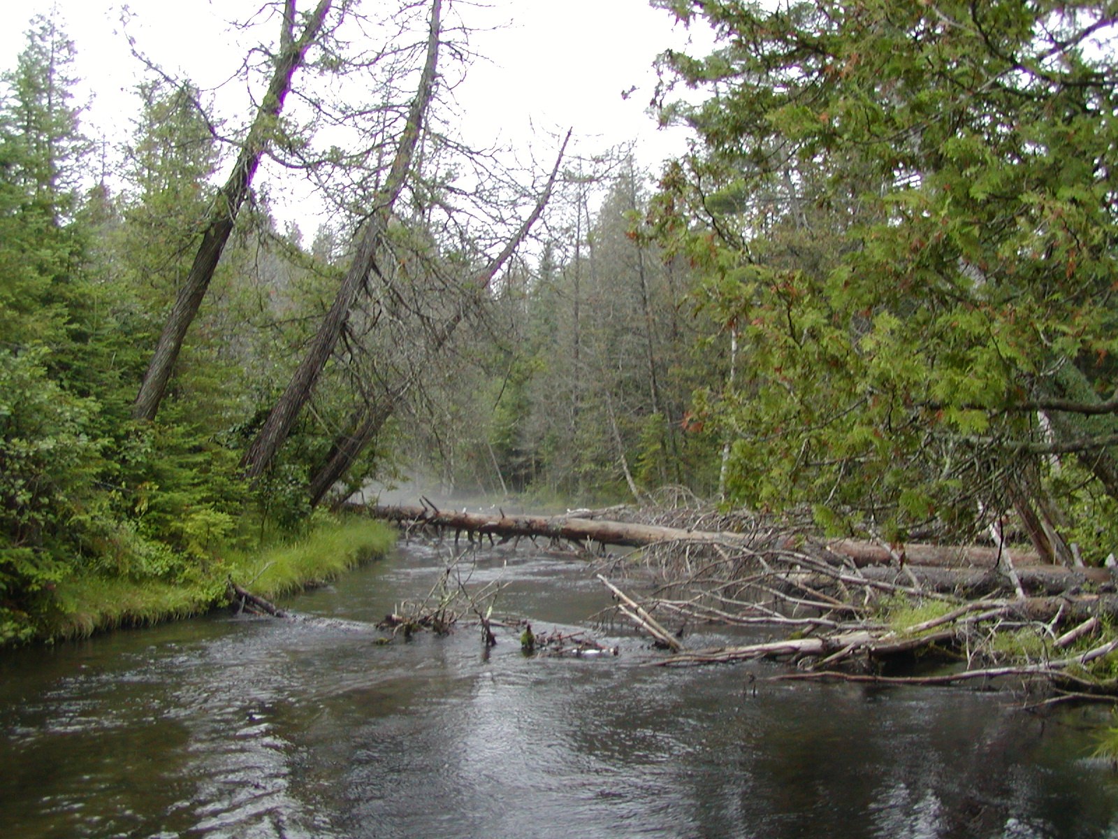 The first leg of the shore-to-shore trail — photograph 3