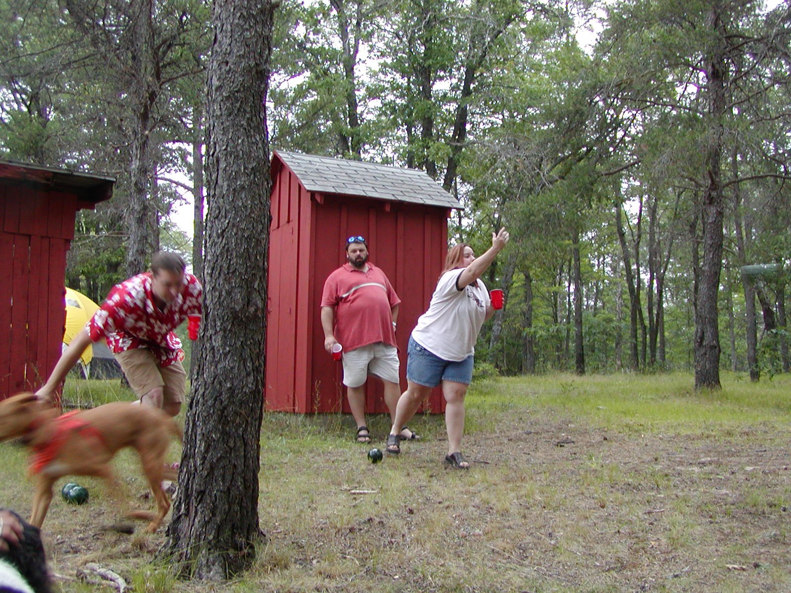 Third Annual Amaretto Sour Bocci Ball unTournament, 2004 — photograph 72