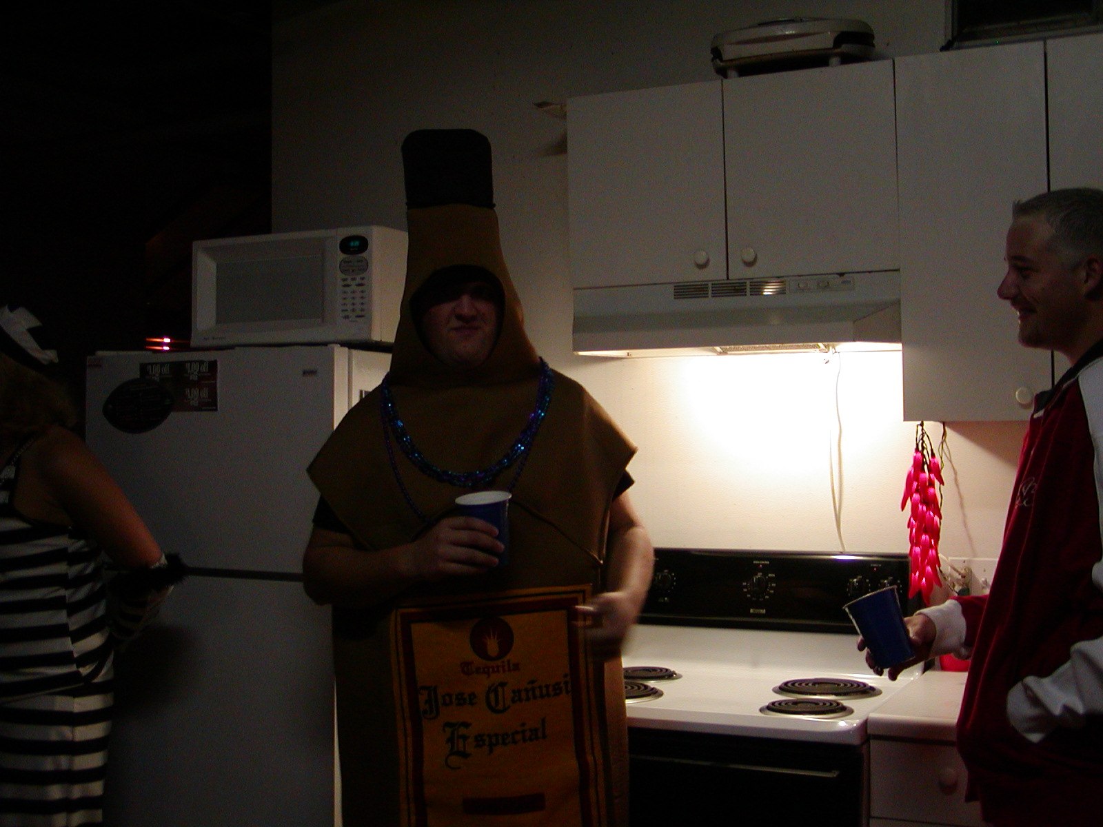 Halloween 2004 at the loft — photograph 3