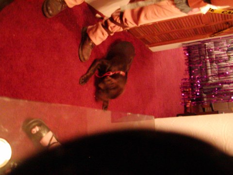 Halloween 2002 — photograph 6