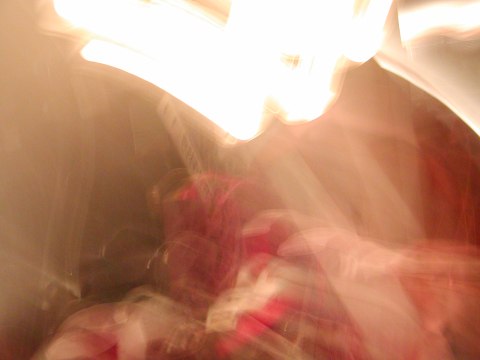 Halloween 2002 — photograph 23