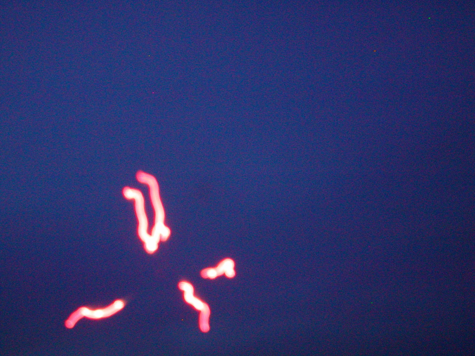 July 4, 2004 at Mark’s cabin — photograph 13