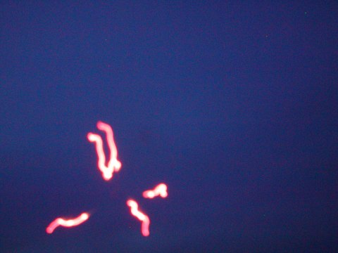 July 4, 2004 at Mark’s cabin — photograph 13