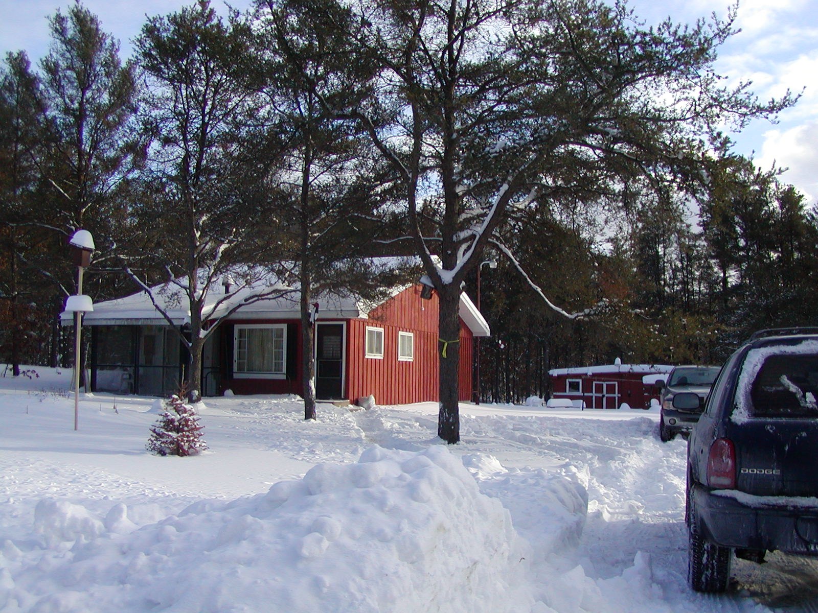 A photograph from the original cabin collection