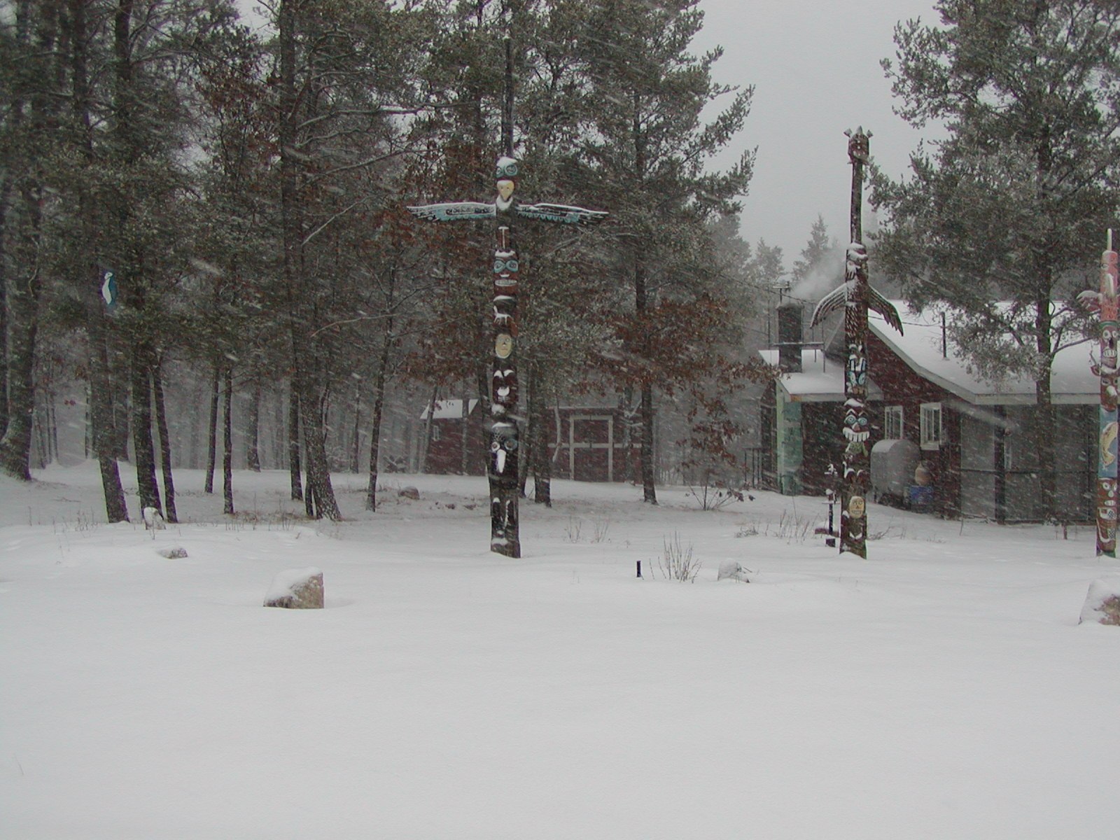 The cabin — photograph 6