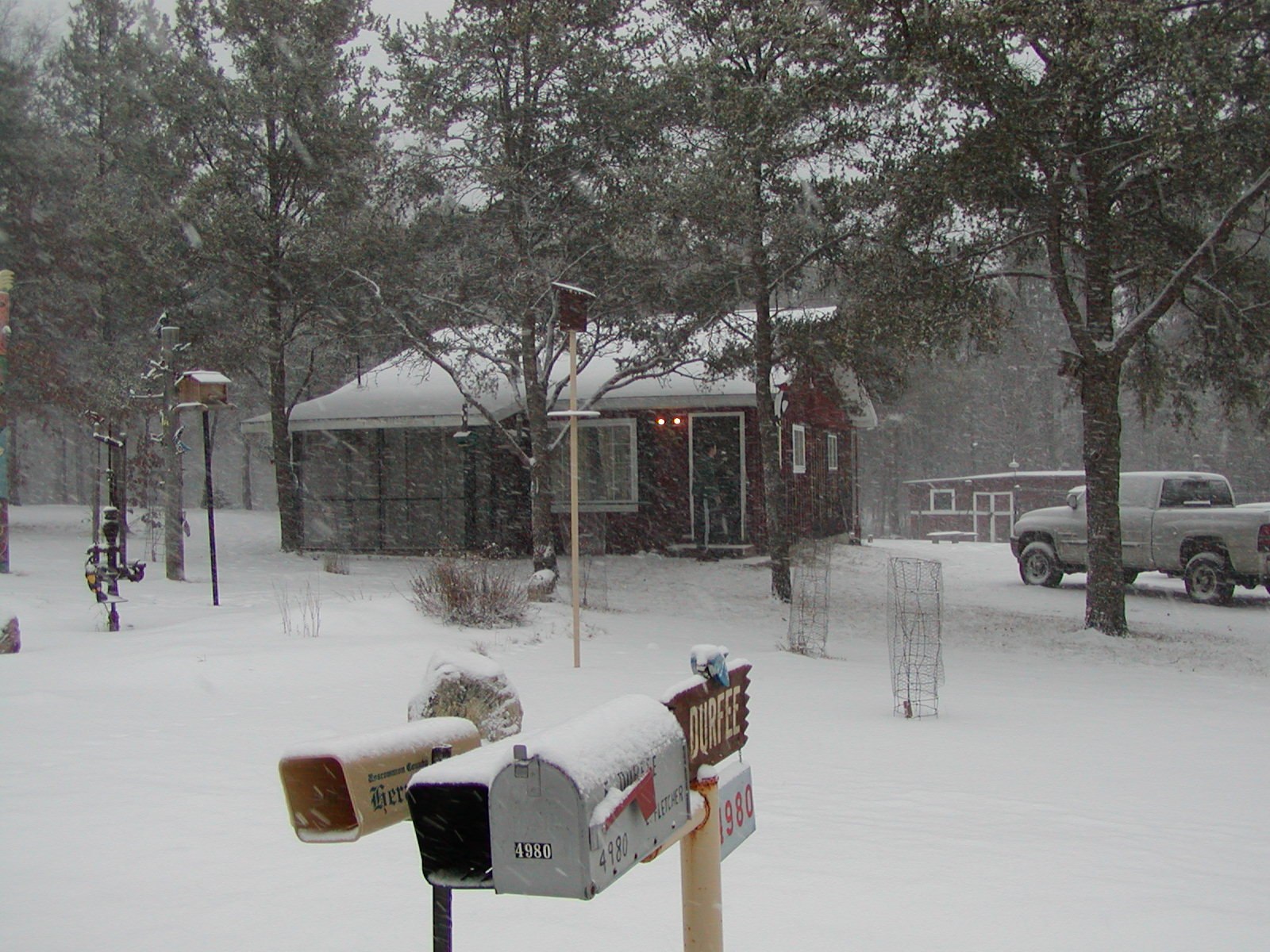 The cabin — photograph 7