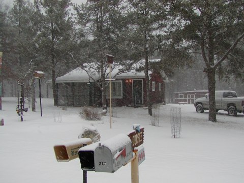 The cabin — photograph 7