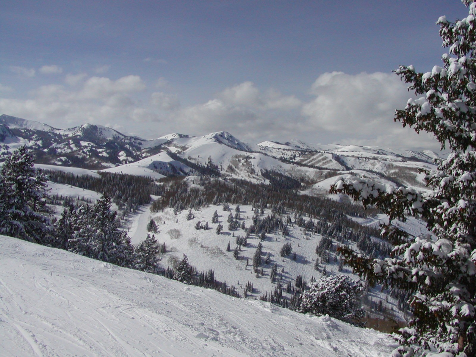 Utah skiing, 2004 — photograph 8