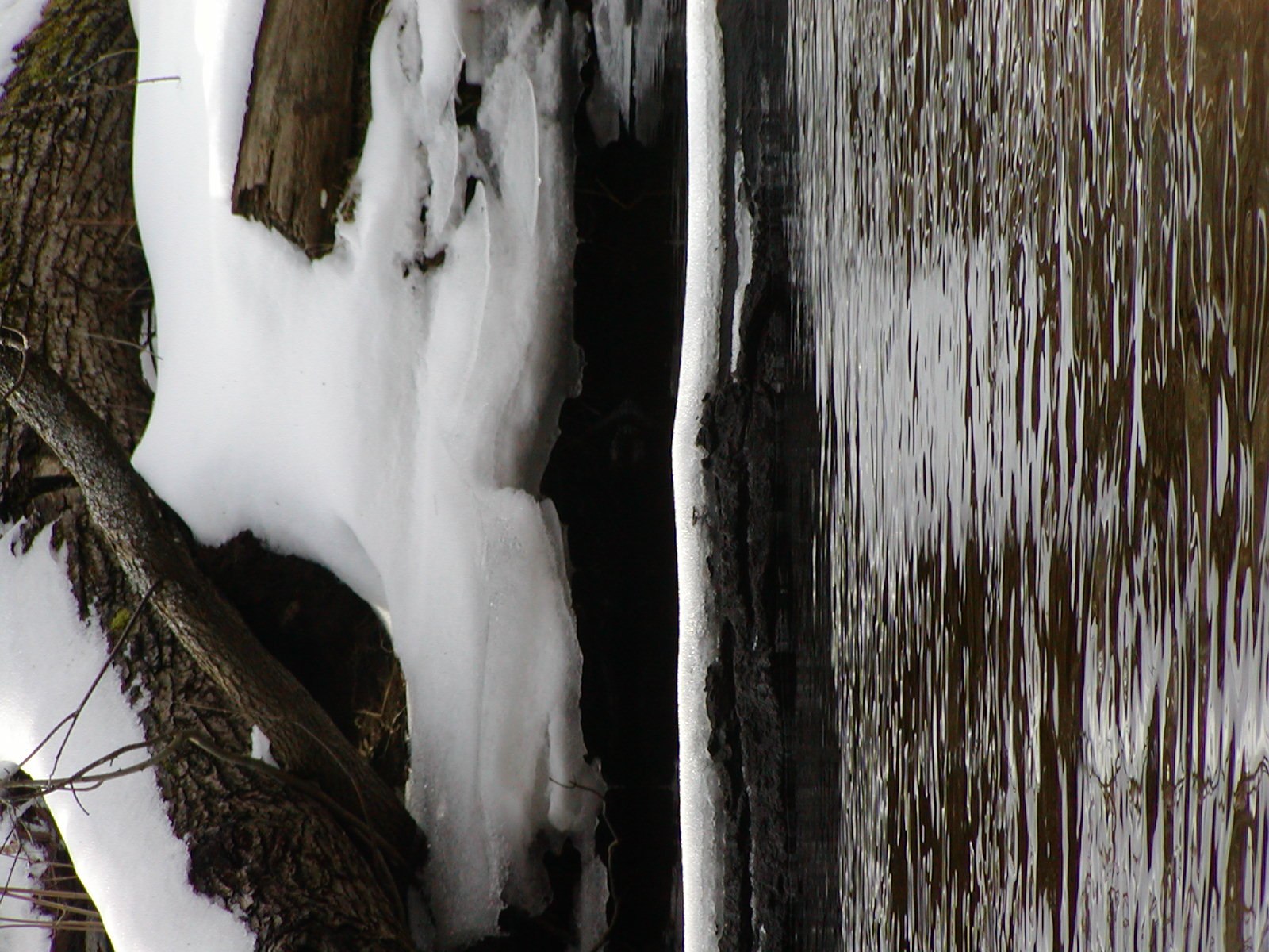 The winter canoe trip — photograph 8