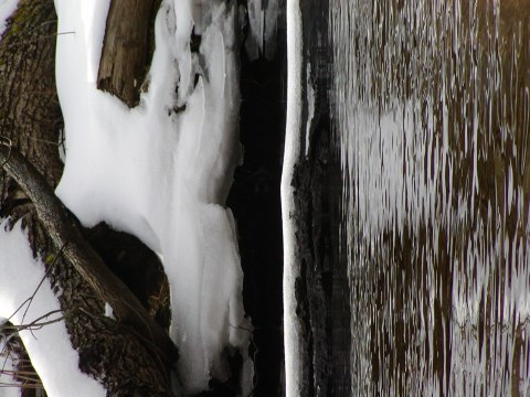 The winter canoe trip — photograph 8