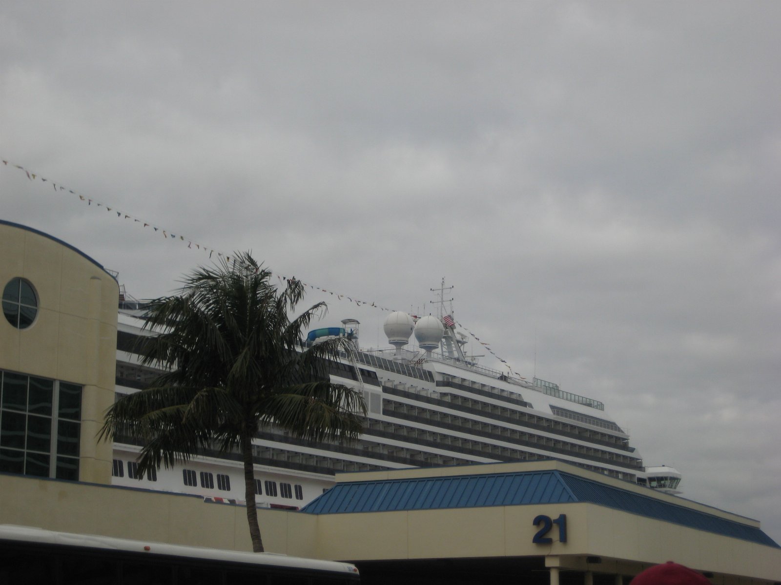 Back in Florida — photograph 4
