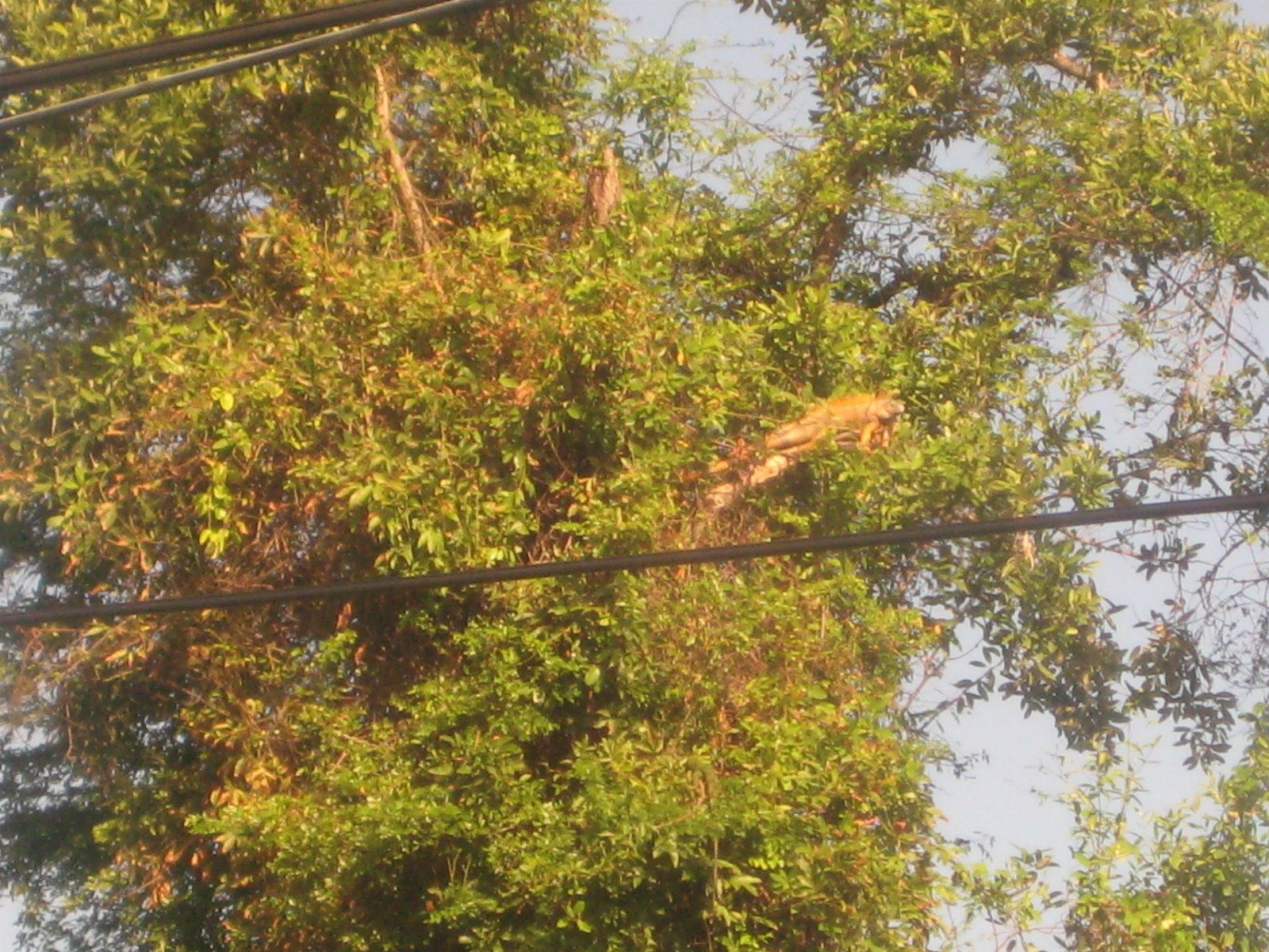 Belize — photograph 9