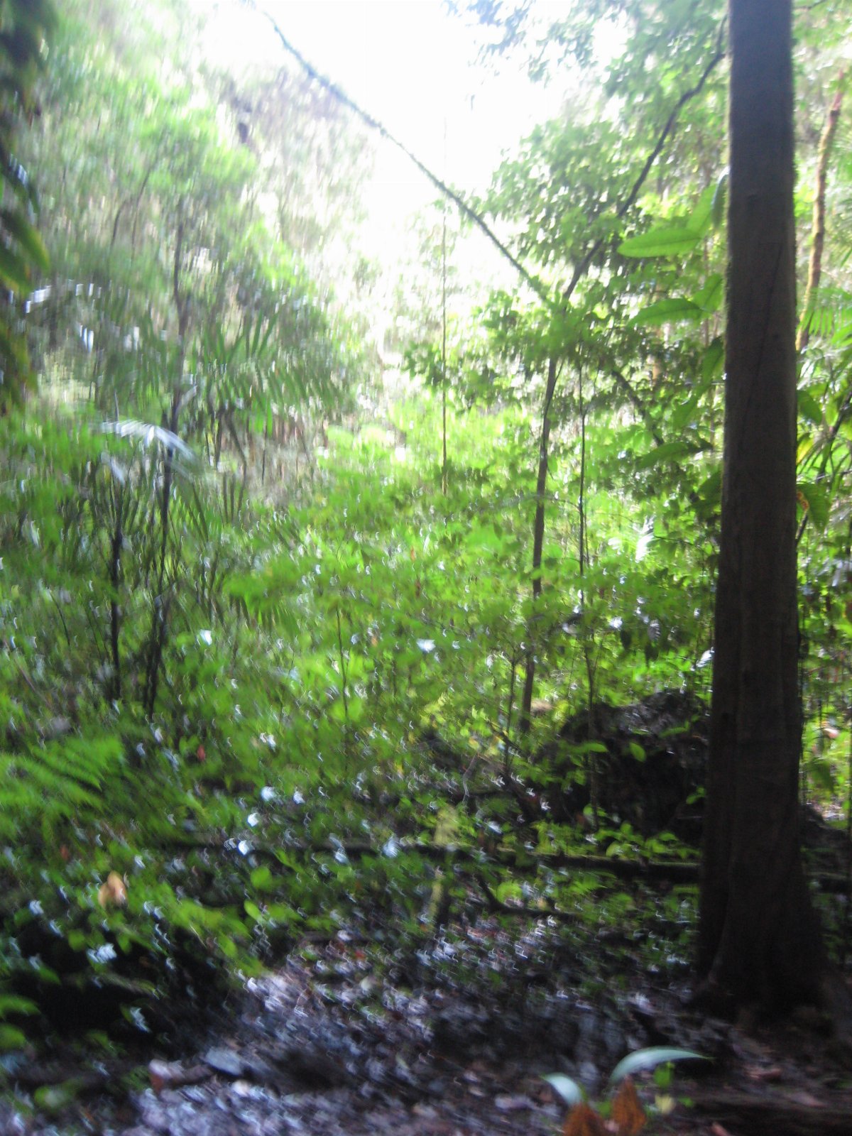 Belize — photograph 20