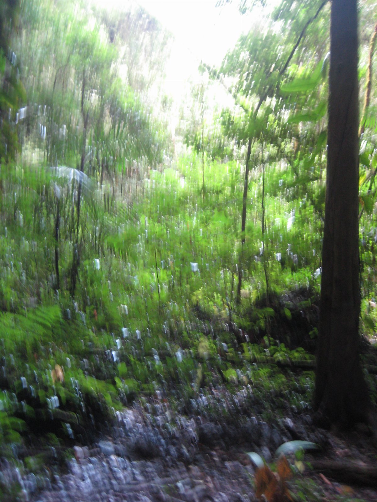 Belize — photograph 21