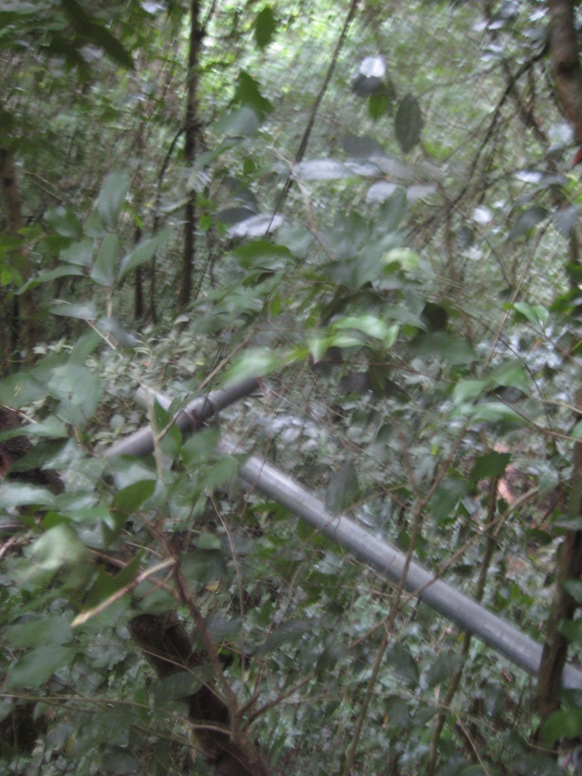 Belize — photograph 27