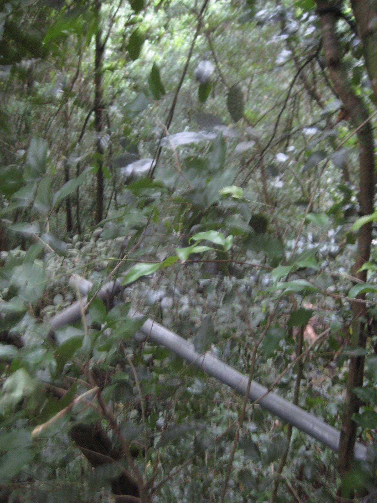 Belize — photograph 28