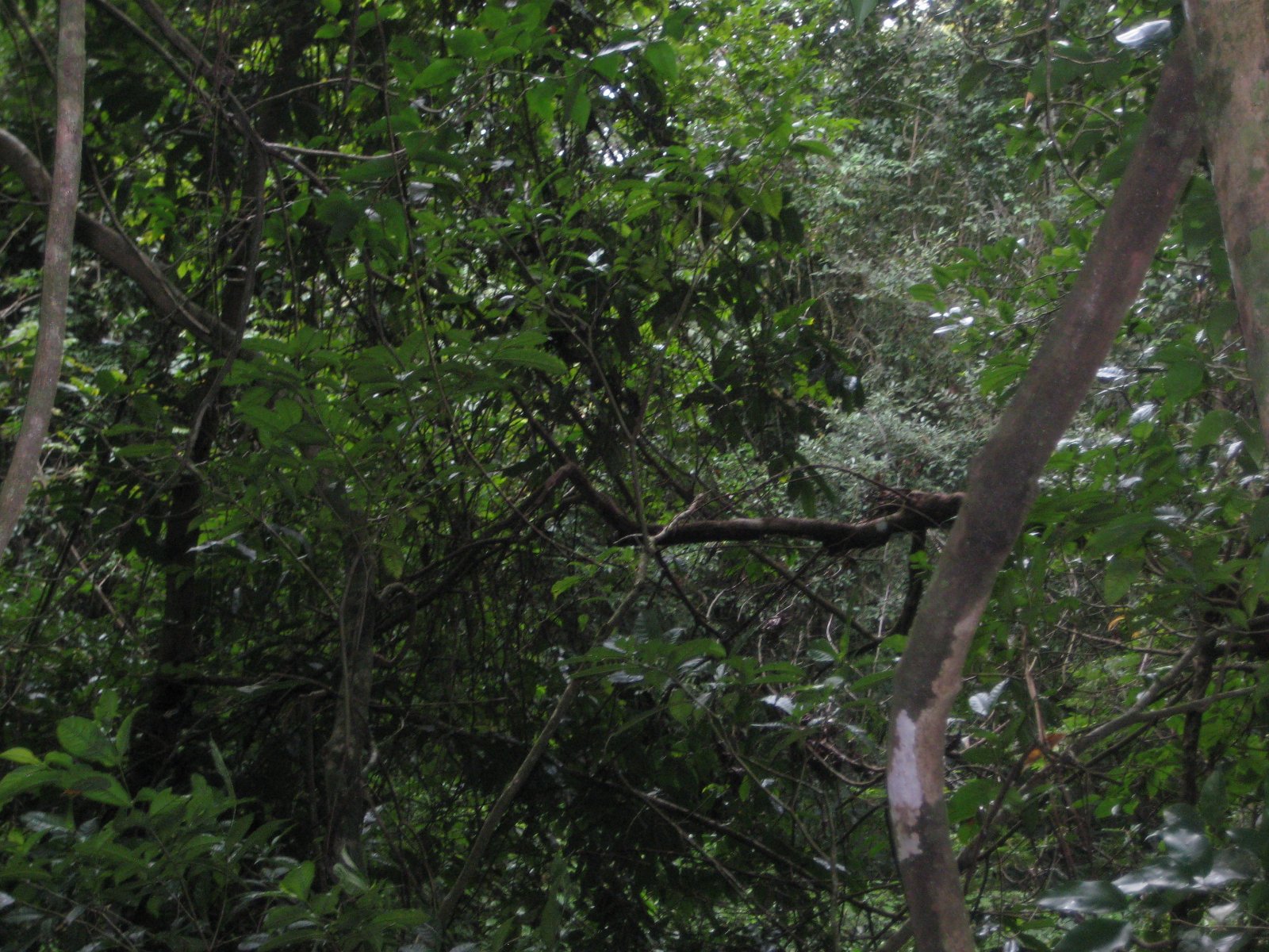Belize — photograph 38