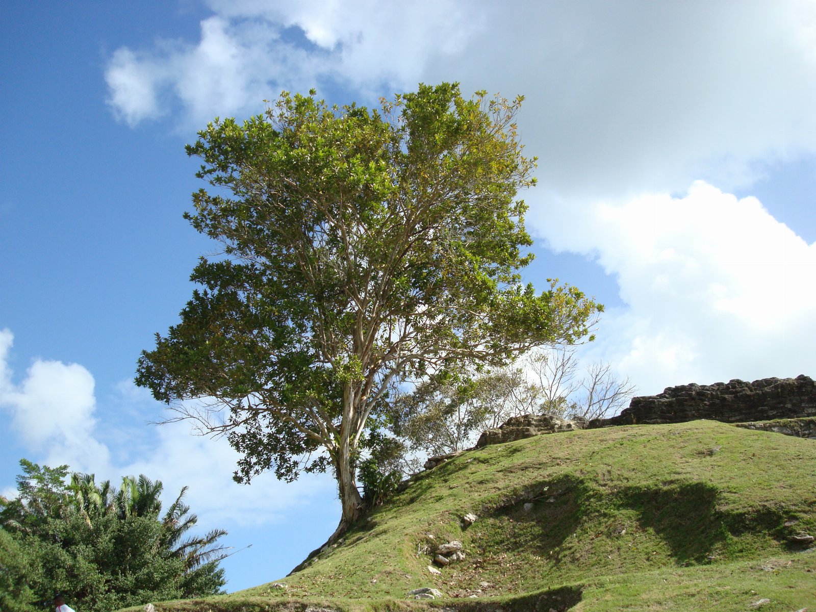 Belize — photograph 64
