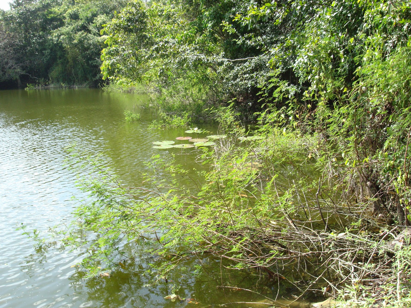 Belize — photograph 102