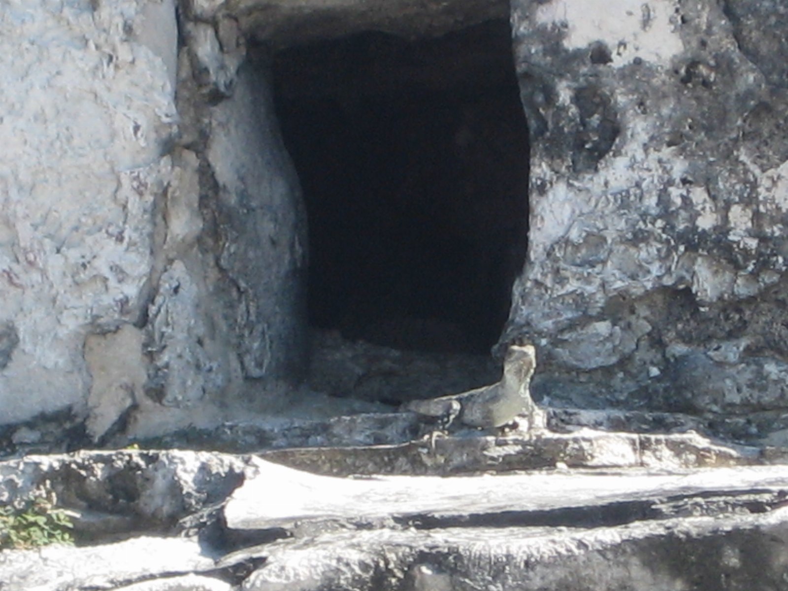Cozumel — photograph 14