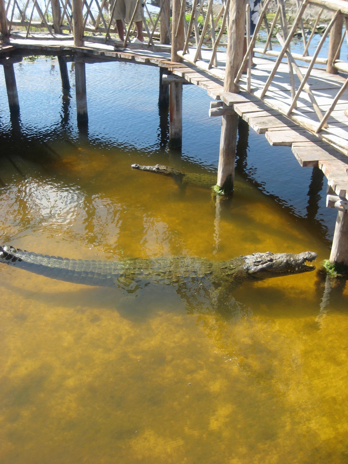 Cozumel — photograph 20