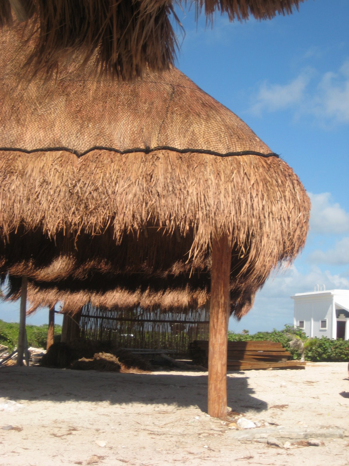 Cozumel — photograph 37
