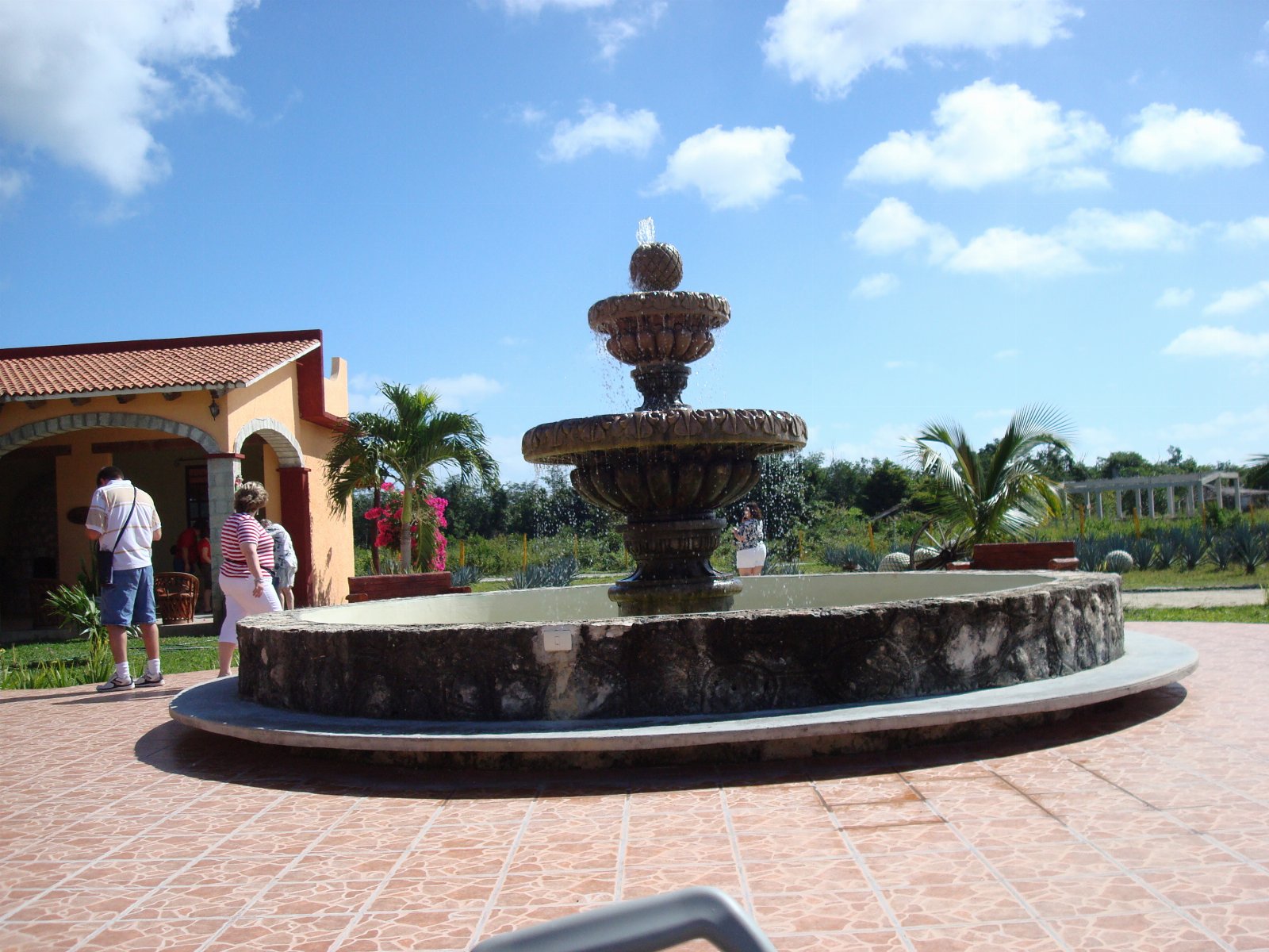 Cozumel — photograph 74