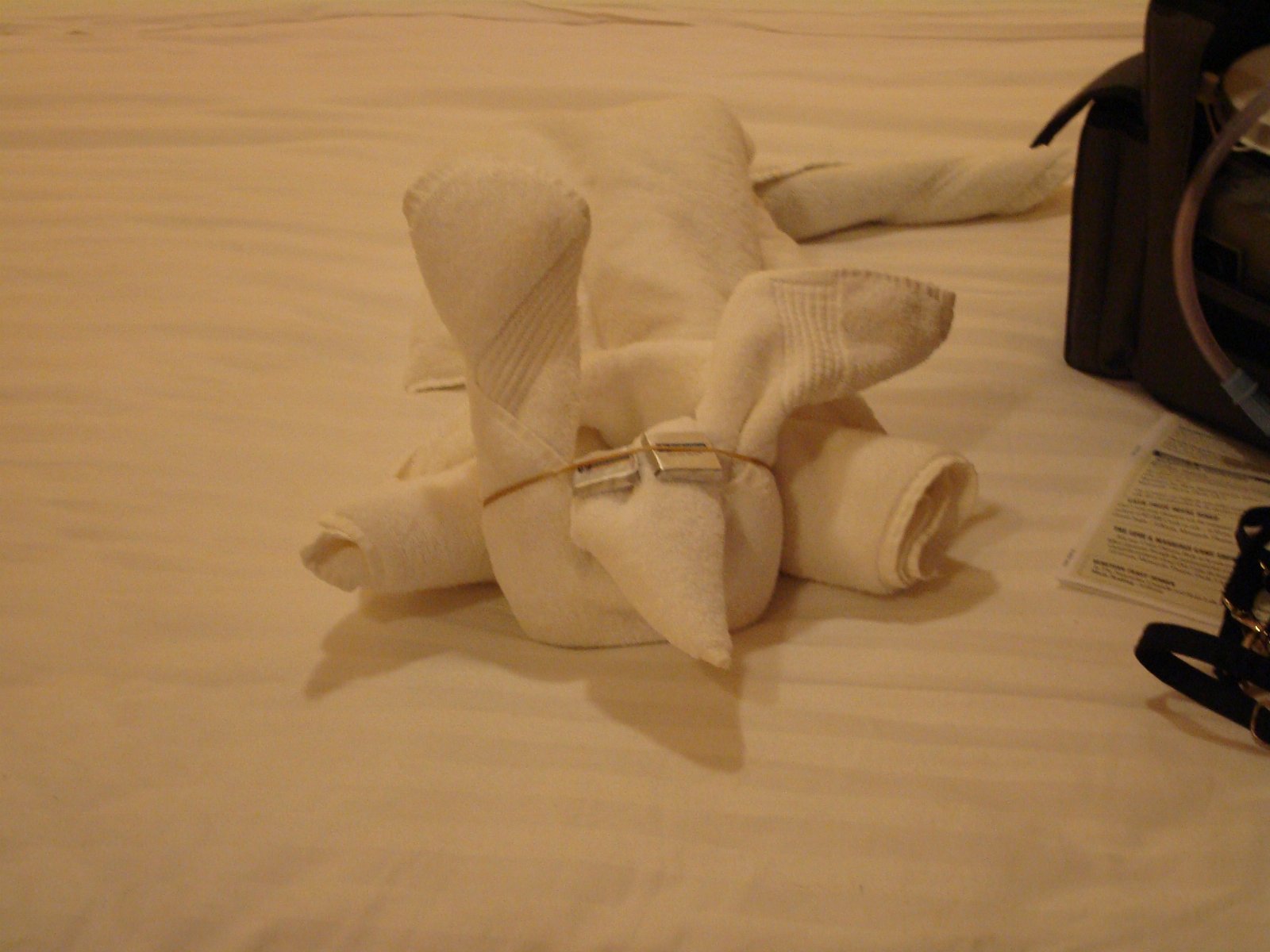 On the ship — photograph 154