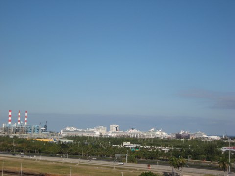 Back in Florida — photograph 9