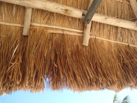 Cozumel — photograph 36