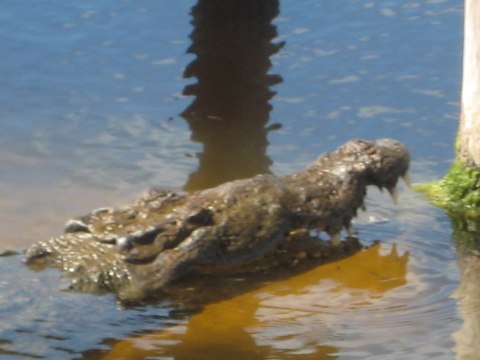 Cozumel — photograph 19