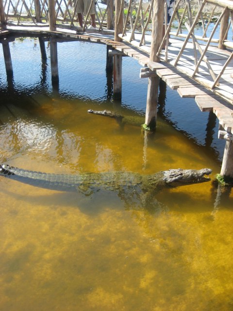 Cozumel — photograph 20