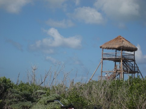 Cozumel — photograph 11