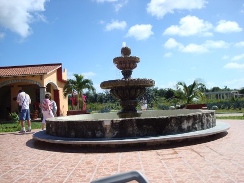 Cozumel — photograph 74
