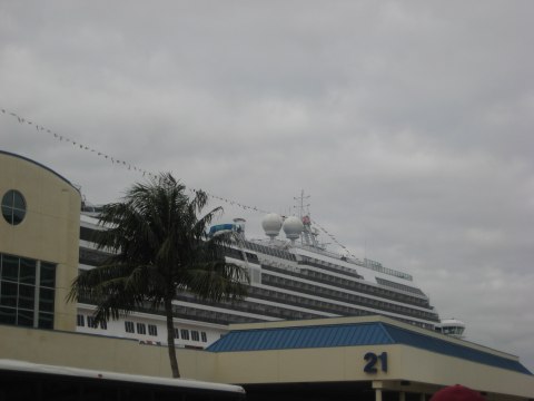 Back in Florida — photograph 4
