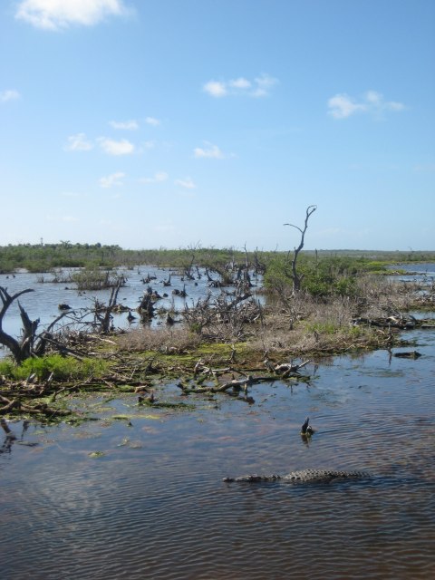 Cozumel — photograph 24