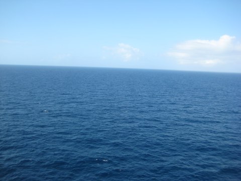On the ship — photograph 39