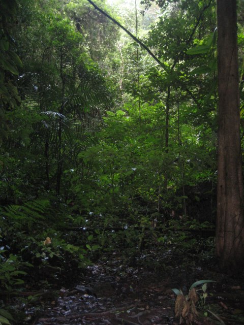Belize — photograph 19