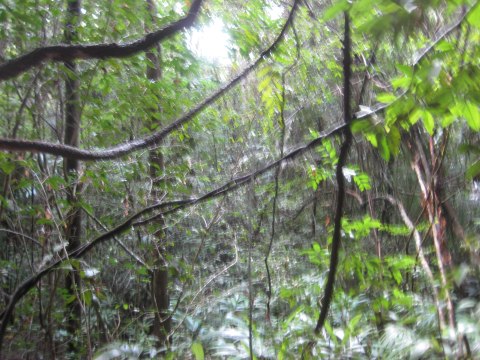 Belize — photograph 22