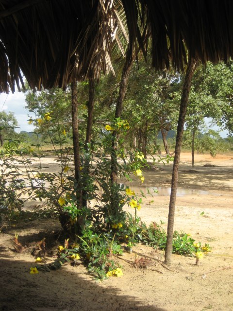 Belize — photograph 11