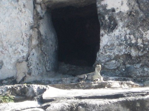 Cozumel — photograph 14