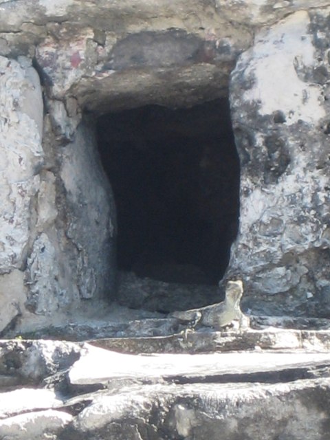 Cozumel — photograph 15
