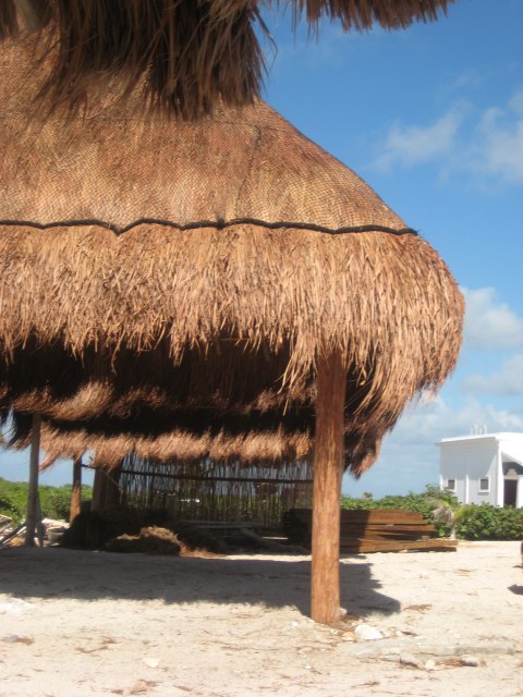 Cozumel — photograph 37