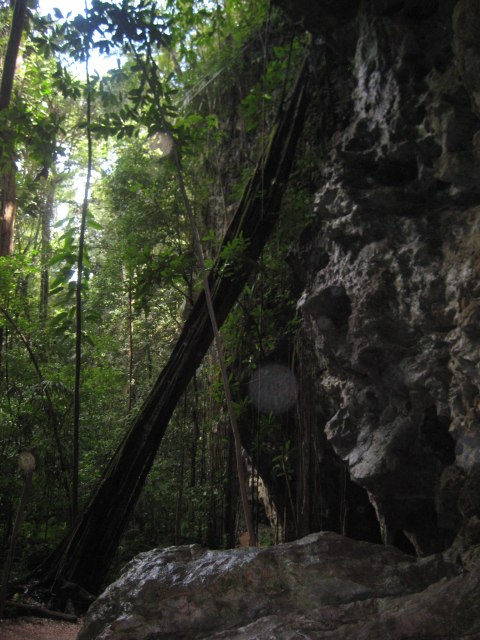 Belize — photograph 16