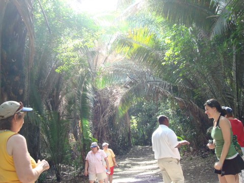 Belize — photograph 99