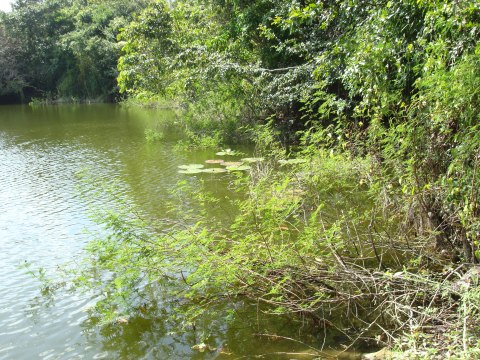 Belize — photograph 102