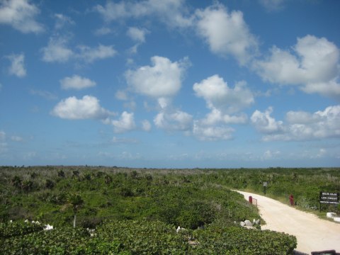 Cozumel — photograph 39